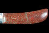 Knife With Fossil Dinosaur Bone (Gembone) Inlays #101812-3